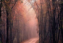 东升国际官网：随着山东泰山4-3绝杀，国安1-1蓉城，中超最新积分榜！前4名同分.