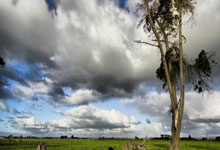 NBA-波尔津吉斯24分塔图姆20+8+8 绿军客场险胜篮网.