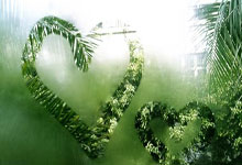 [冰雪]一日双赛 中国男子冰壶队险胜德国队.